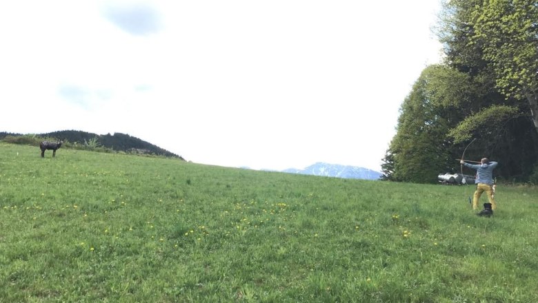 3D archery course, &copy; Herwig Kerbl