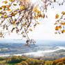 Panoramic view of the Danube valley, © Hotel Schachner