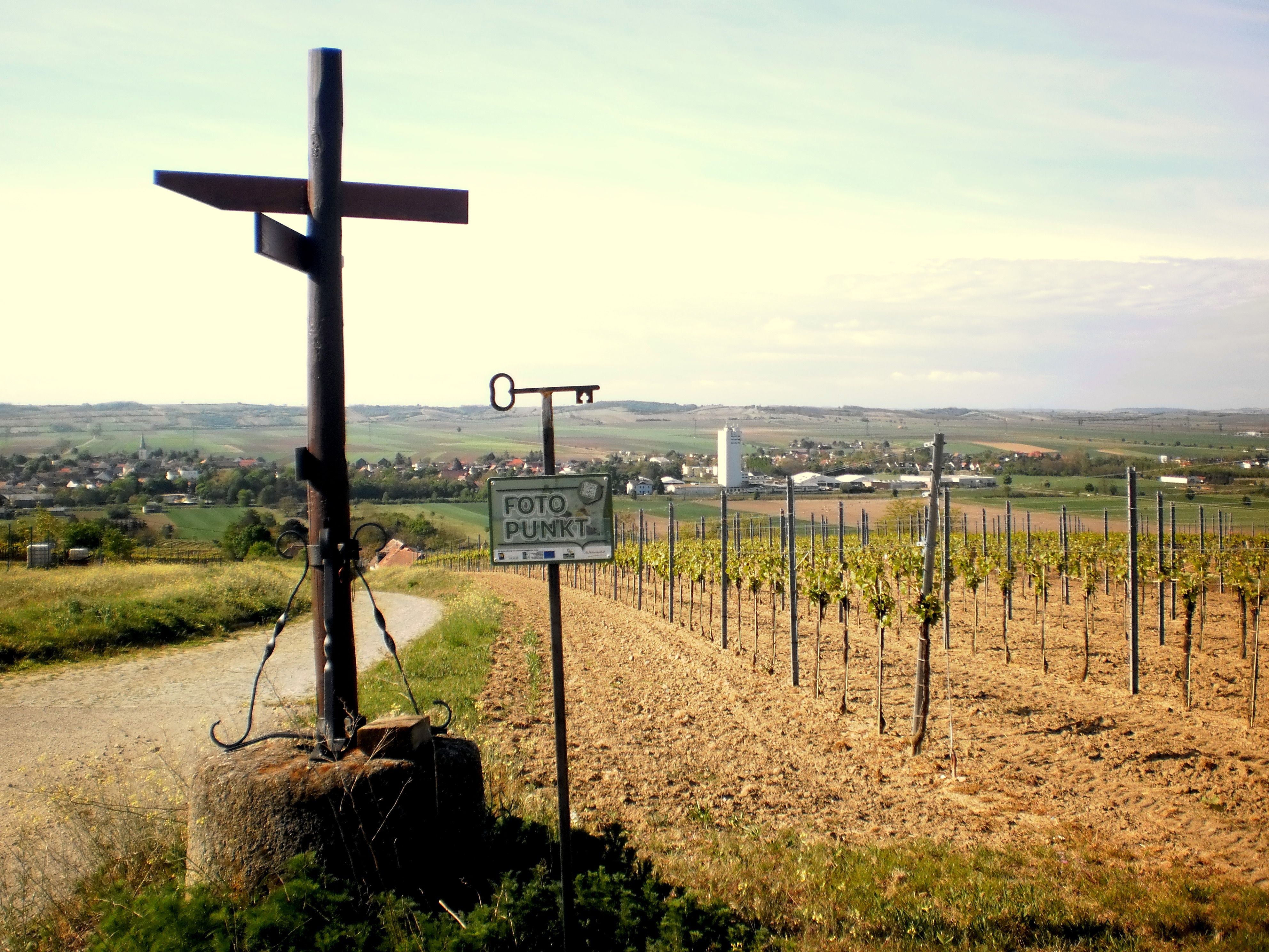 Pohled na Haugsdorf s vinicemi a značkou fotopointu v popředí.