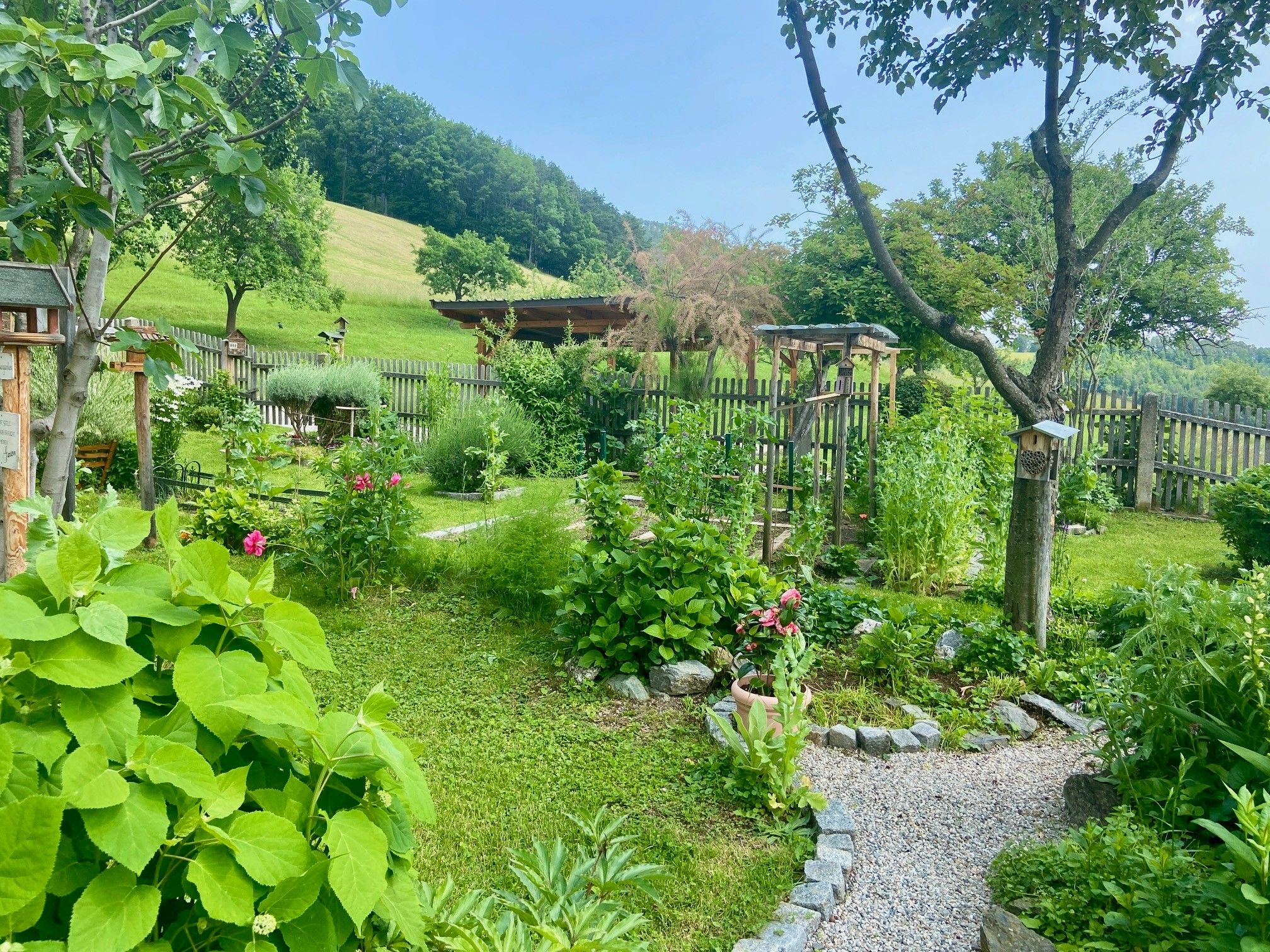 Udržovaná zahrada s květinami, stromy a štěrkovou cestou, obklopená dřevěným plotem a zelenou loukou v pozadí.
