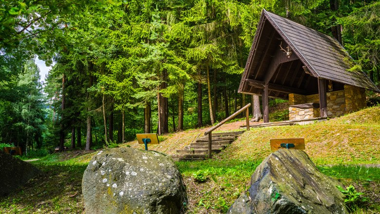 Waldlehrpfad in Feistritz, © Wiener Alpen, Christian Kremsl
