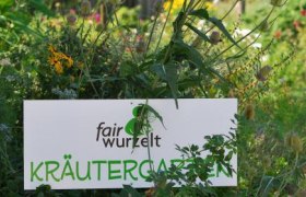 Kräutergarten fairwurzelt, © fairwurzelt