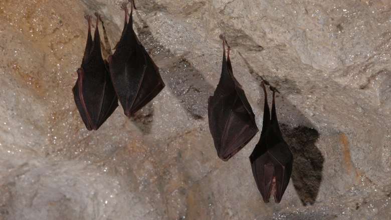 Hermannshöhle, © Hermannshöhle