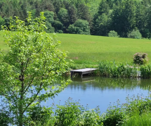 Cottage at the Gföhlerwald, © Elisabeth Veen