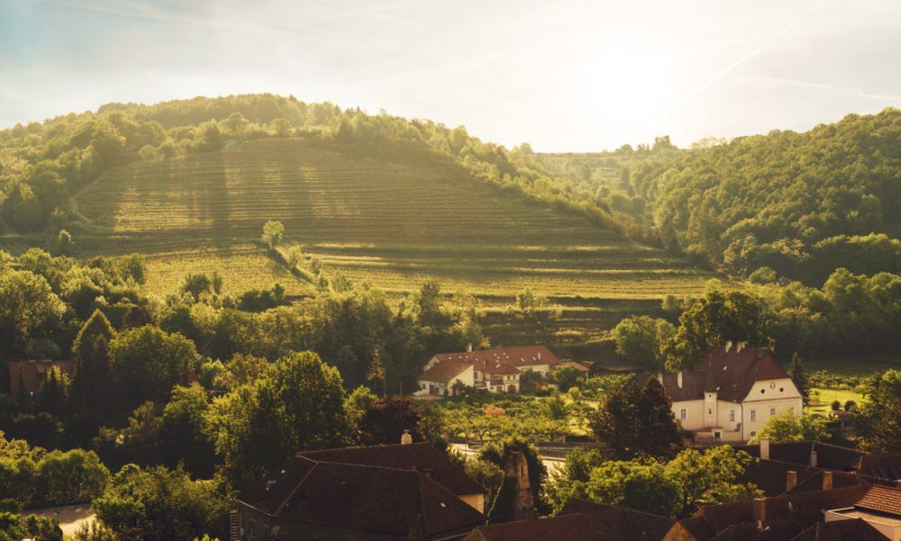 Vinařství v kopcovité krajině s vinicemi a budovami ve slunečním světle.
