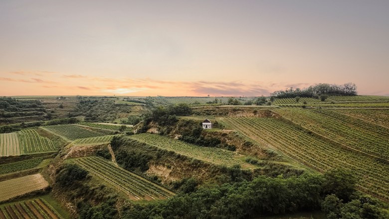 Rotweinkessel Gerichtsberg Schatzberg (c)Martin Sommer, © Martin Sommer