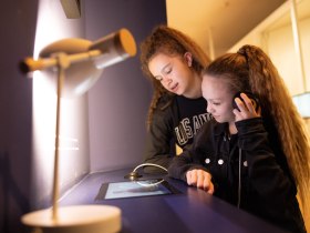 Wissenswertes &uuml;ber Egon Schiele erfahren, &copy; Donau Nieder&ouml;sterreich - Kamptal-Wagram-Tullner Donauraum