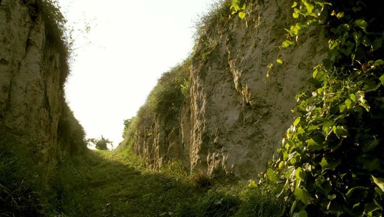 &Uacute;zk&aacute; travnat&aacute; cesta mezi vysok&yacute;mi hliněn&yacute;mi stěnami s vegetac&iacute;.