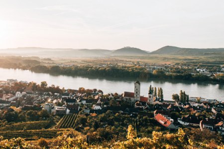 Kremstal: Skalní podloží na vinici, © Romeo Felsenreich