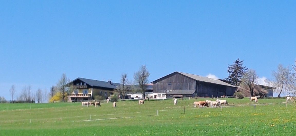 BioHof Stieger