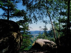 Hirschenstein H&ouml;henwanderung - Nr. 53, &copy; Waldviertel Tourismus