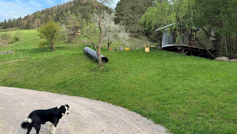 Sunnseit'n playground, © Mostviertel Tourismus