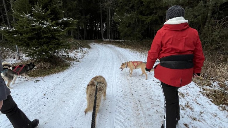 Huskyhike - Teamspirit & Natur, © Huskystadl