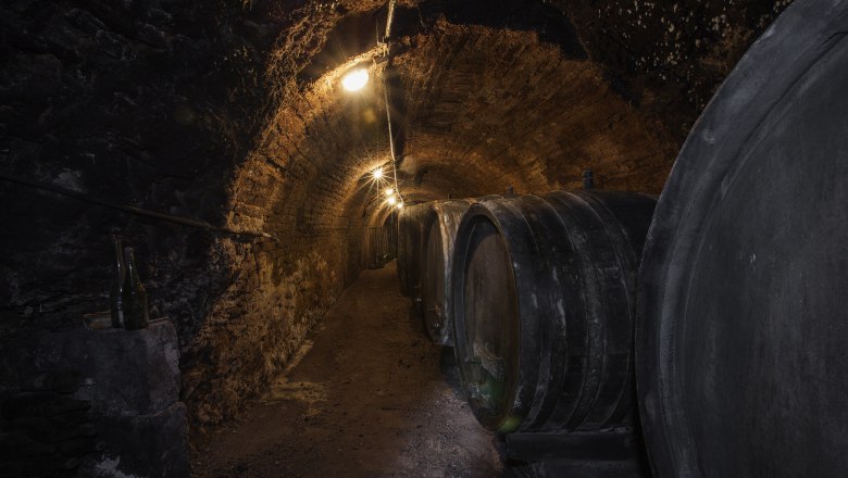 Zr&aacute;n&iacute; ve vinn&eacute;m sklepě Christine Mazzy, &copy; Monika Loeff