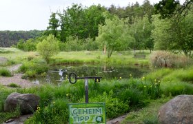 Dragonfly pond, © Stadtgemeinde Maissau