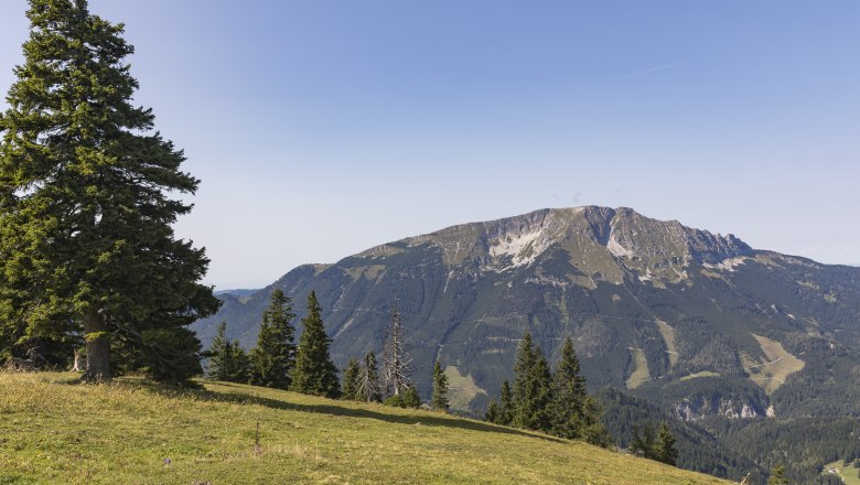 Brachalm, &copy; Theo Kust