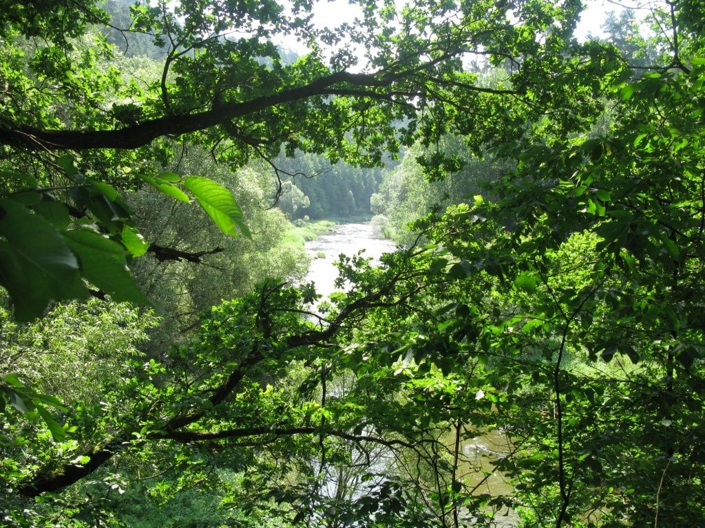 Romantický - Cesta
