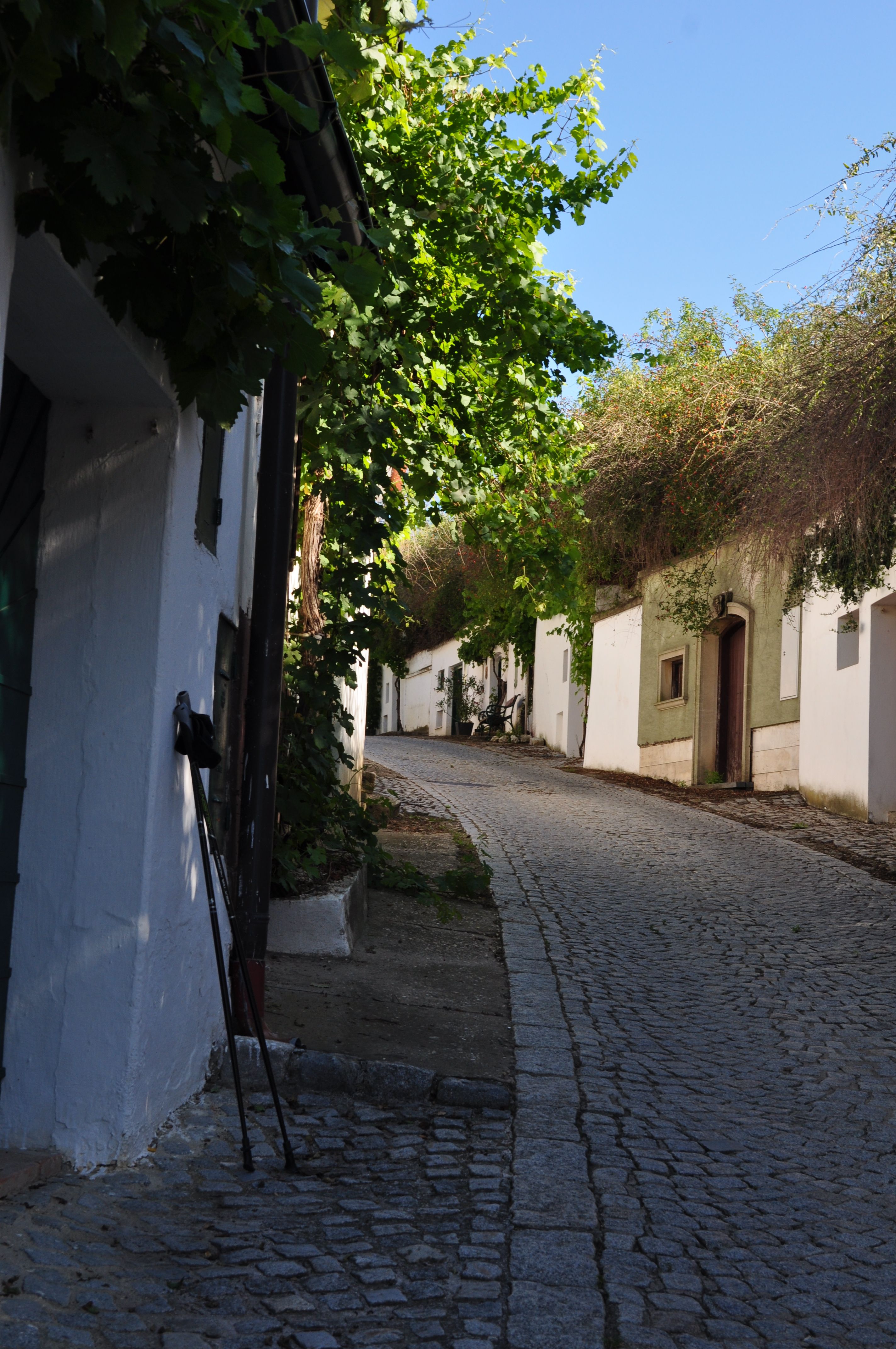 Kellergasse Rösselberg_Walkingstecken_0095(c)WTG