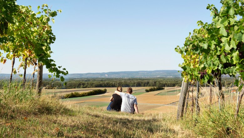 Viticulture Julian Winter, © Julian Winter