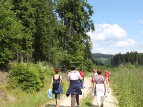 Eisenwurzenweg 608, &copy; Tourismusverein B&auml;rnkopf