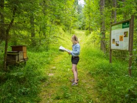 Tematick&aacute; stezka v lese, turista na hrac&iacute;ch desk&aacute;ch